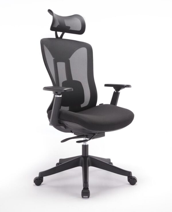 Ergonomic mesh chair