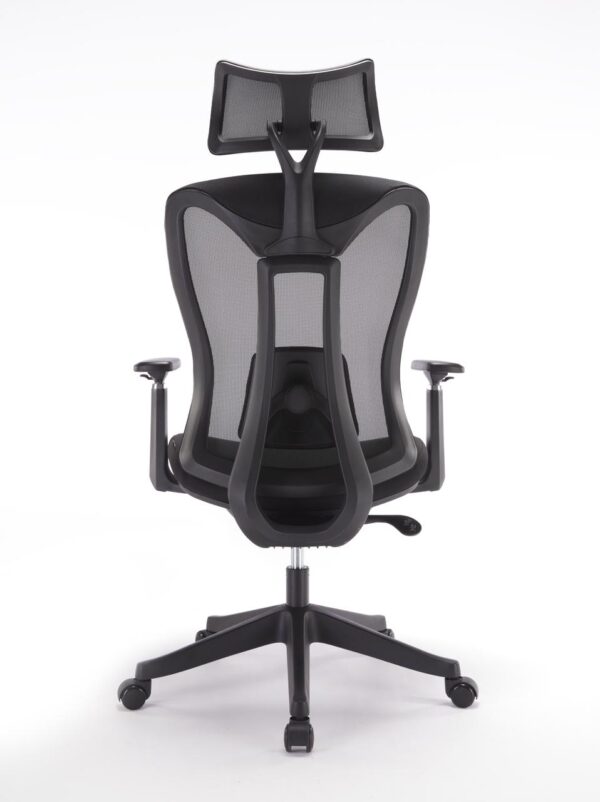 Ergonomic mesh chair