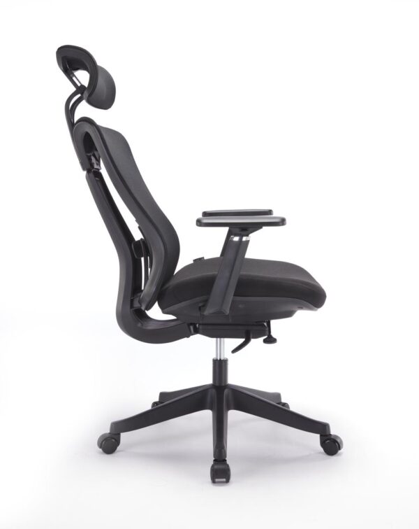 Ergonomic mesh chair