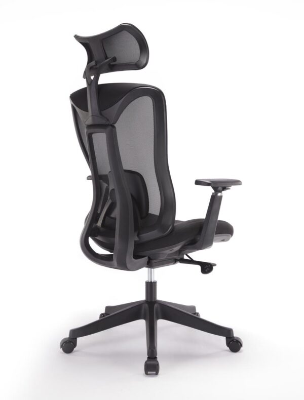 Ergonomic mesh chair